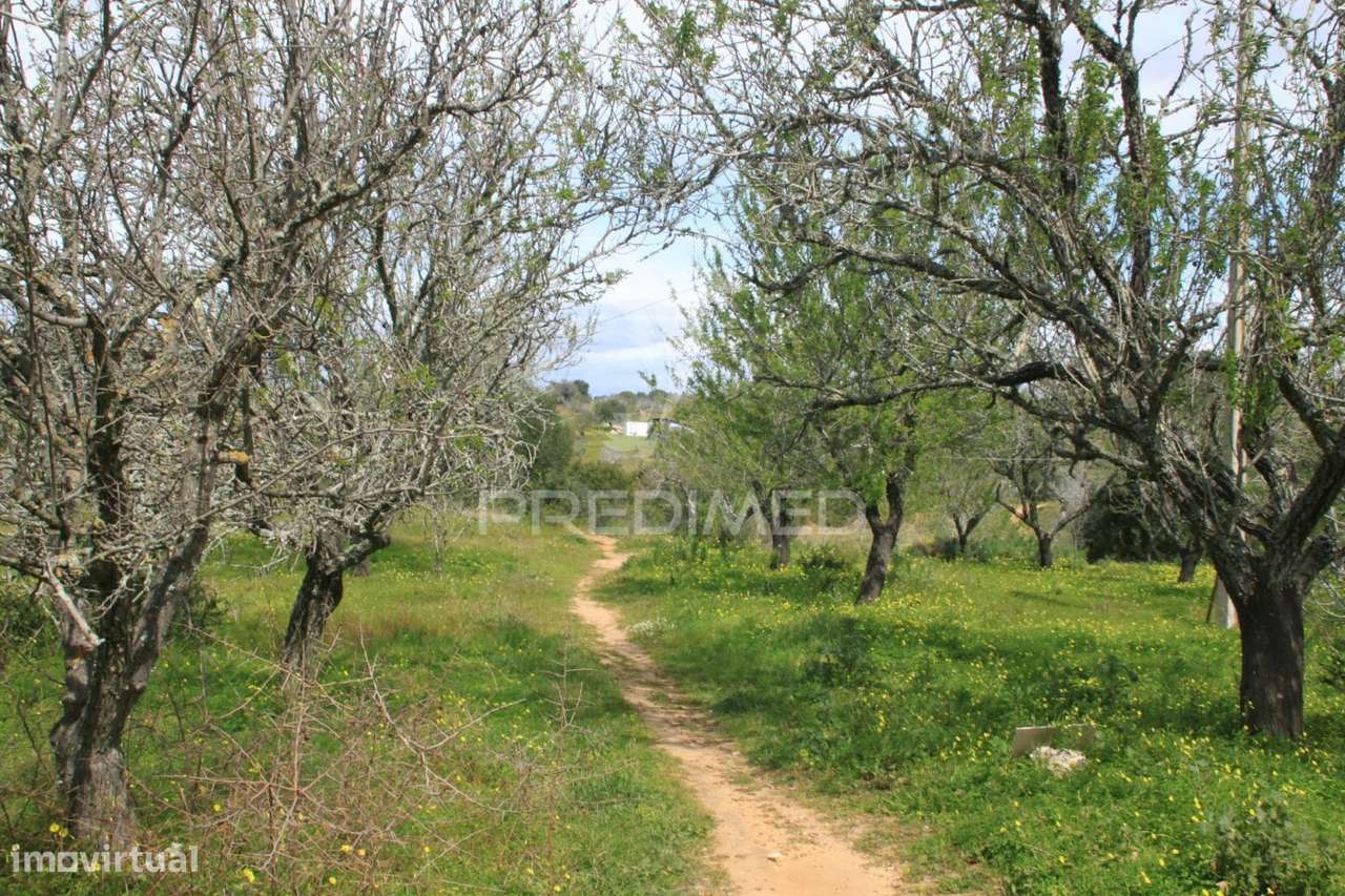 Terreno Misto com 7,5 hectares  em Albufeira - Grande imagem: 2/8