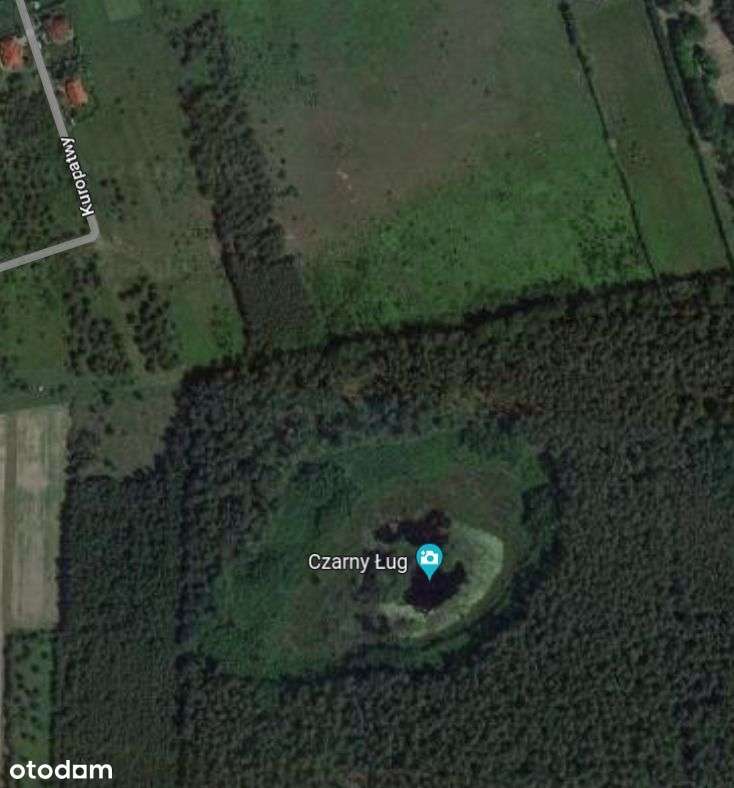 Działka 2 ha Łoś/Prażmów w trakcie zmian w MPZP - Pełny obrazek: 2/2