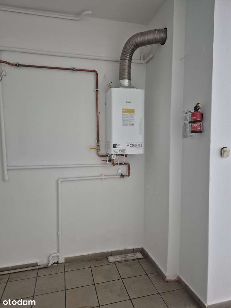 Lokal użytkowy 65 m2 w Centrum Kwidzyna - Pełny obrazek: 5/11