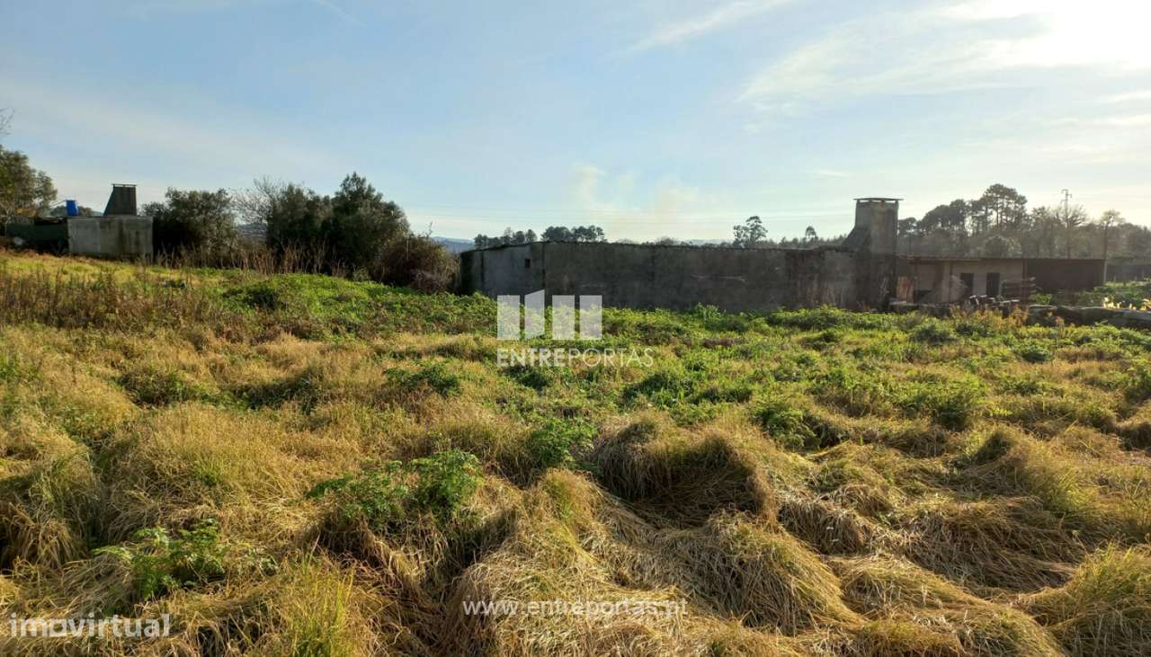 Venda de Terreno, Serreleis, Viana do Castelo - Grande imagem: 3/28