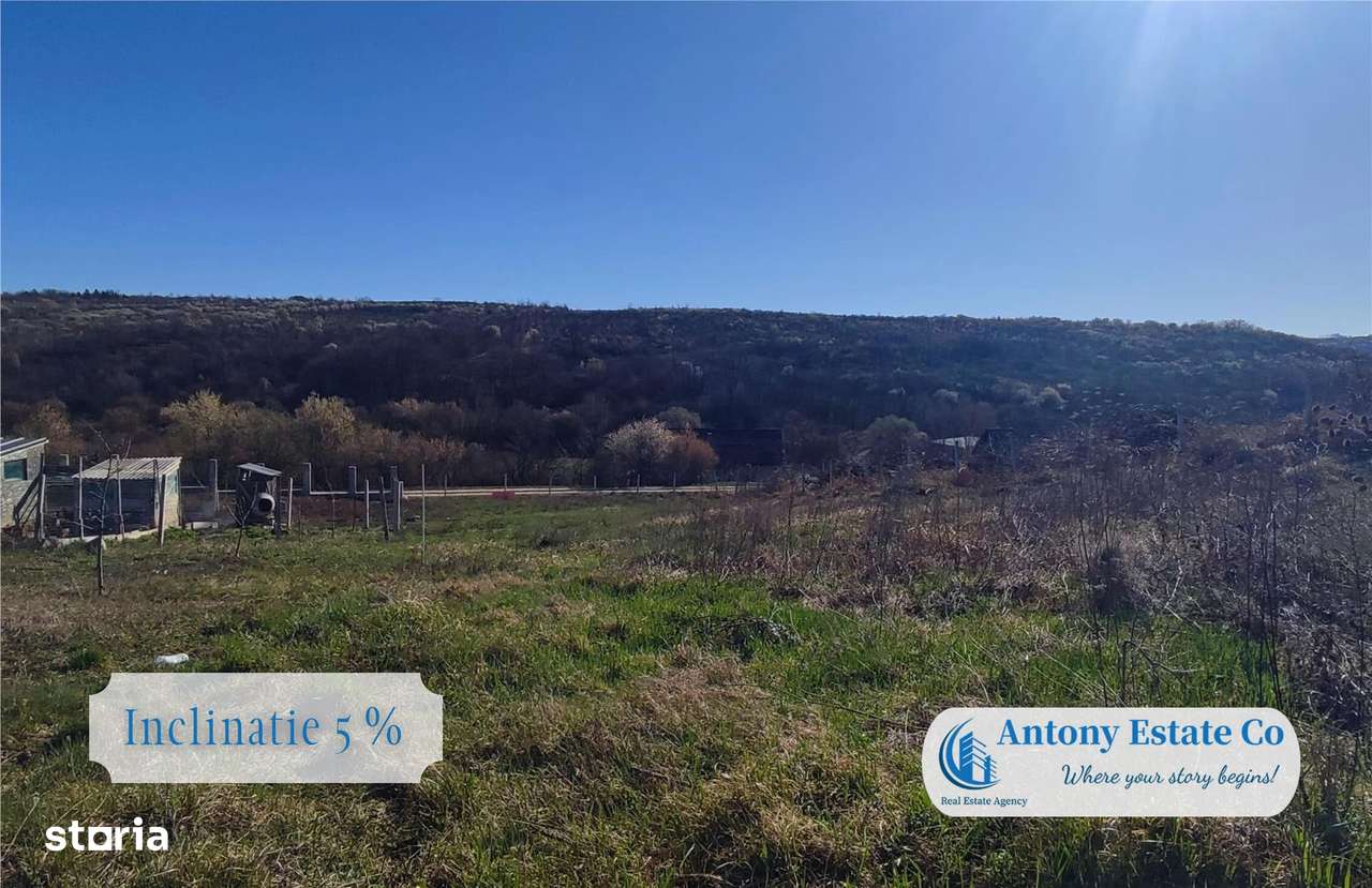 Teren intravilan de vanzare - Zona Saldabagiu De Munte, Bihor - Imagine principală: 2/6