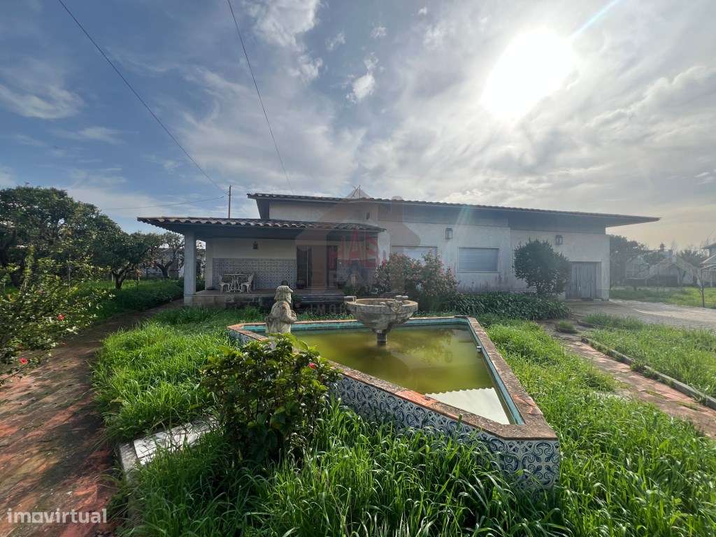 Excelente Moradia Térrea T3 Com Terreno e Vários Anexos - Grande imagem: 1/60