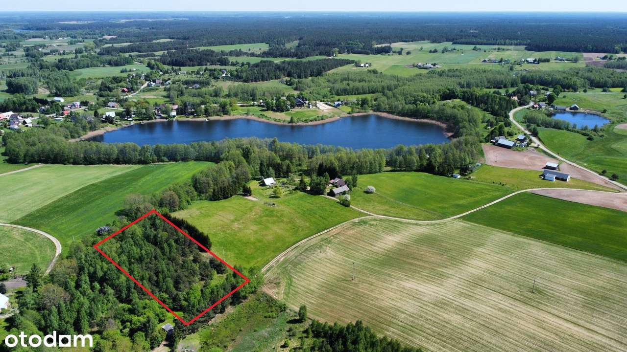 Berżniki - działka koło jeziora - 8 zł/m2 - Pełny obrazek: 5/8