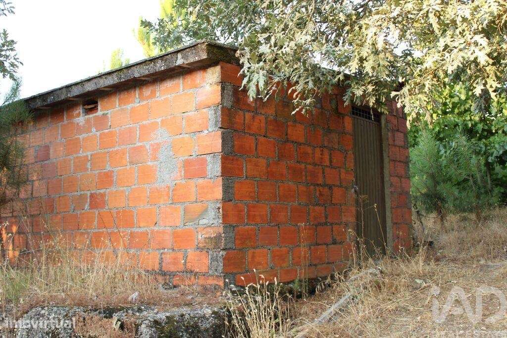 Terreno em Nogueira do Cravo - Grande imagem: 5/11
