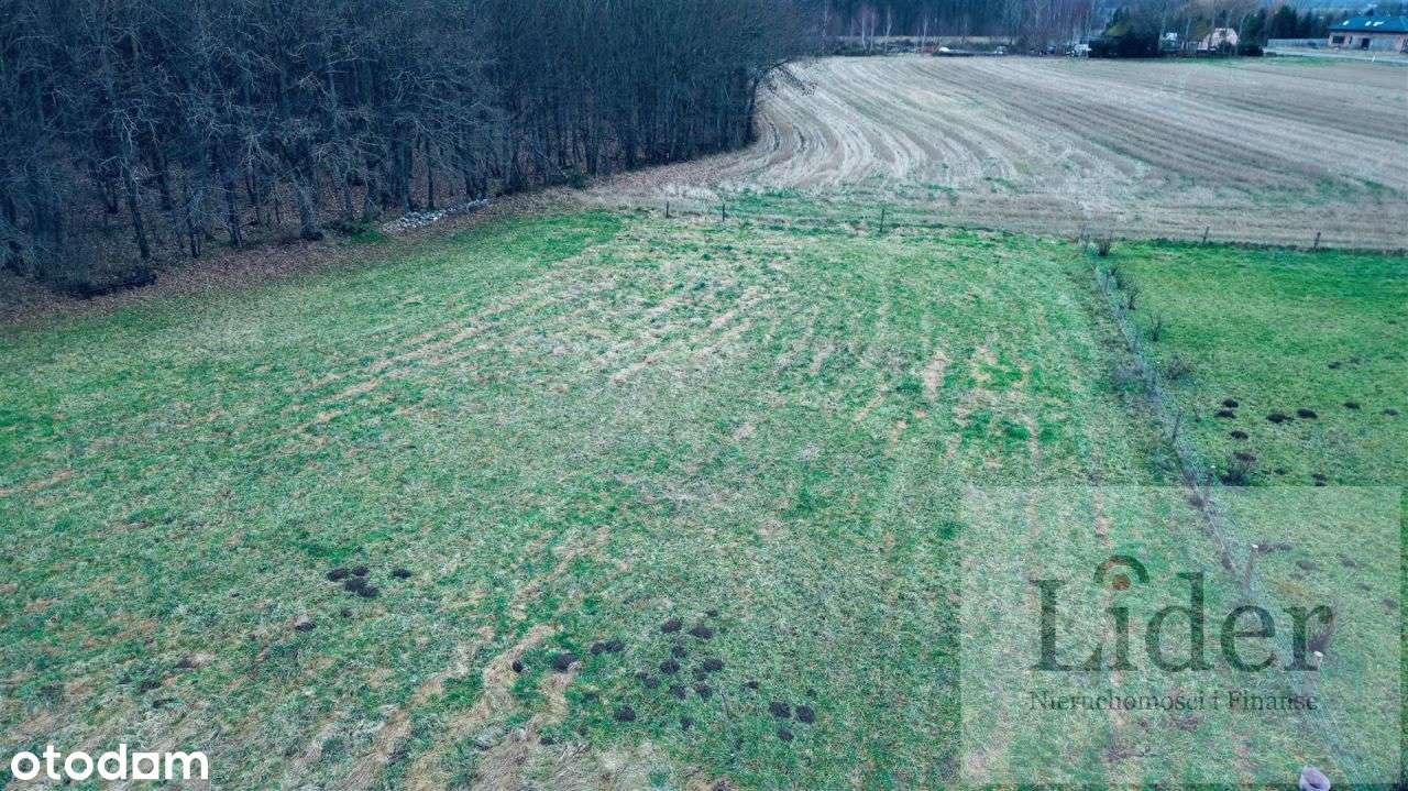 Na sprzedaż działka budowlana 1335 m² - Pełny obrazek: 4/10