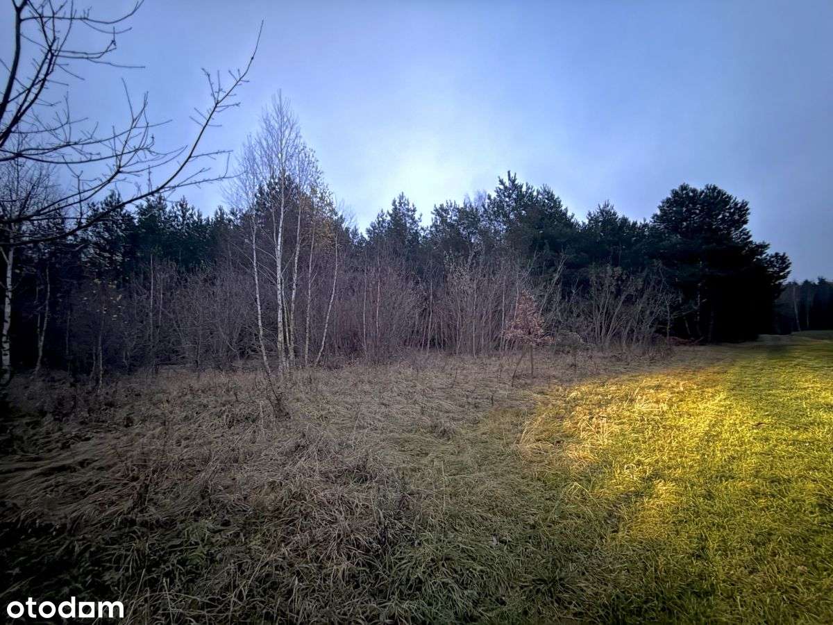 Okazja! Duża działka rolna w Borkowie 9802m2 - Pełny obrazek: 4/11