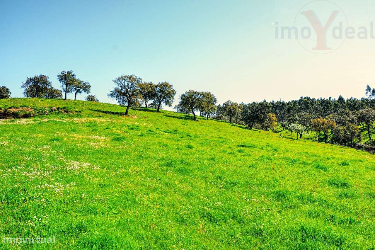 TERRENO EM S.BARTOLOMEU DA SERRA-16