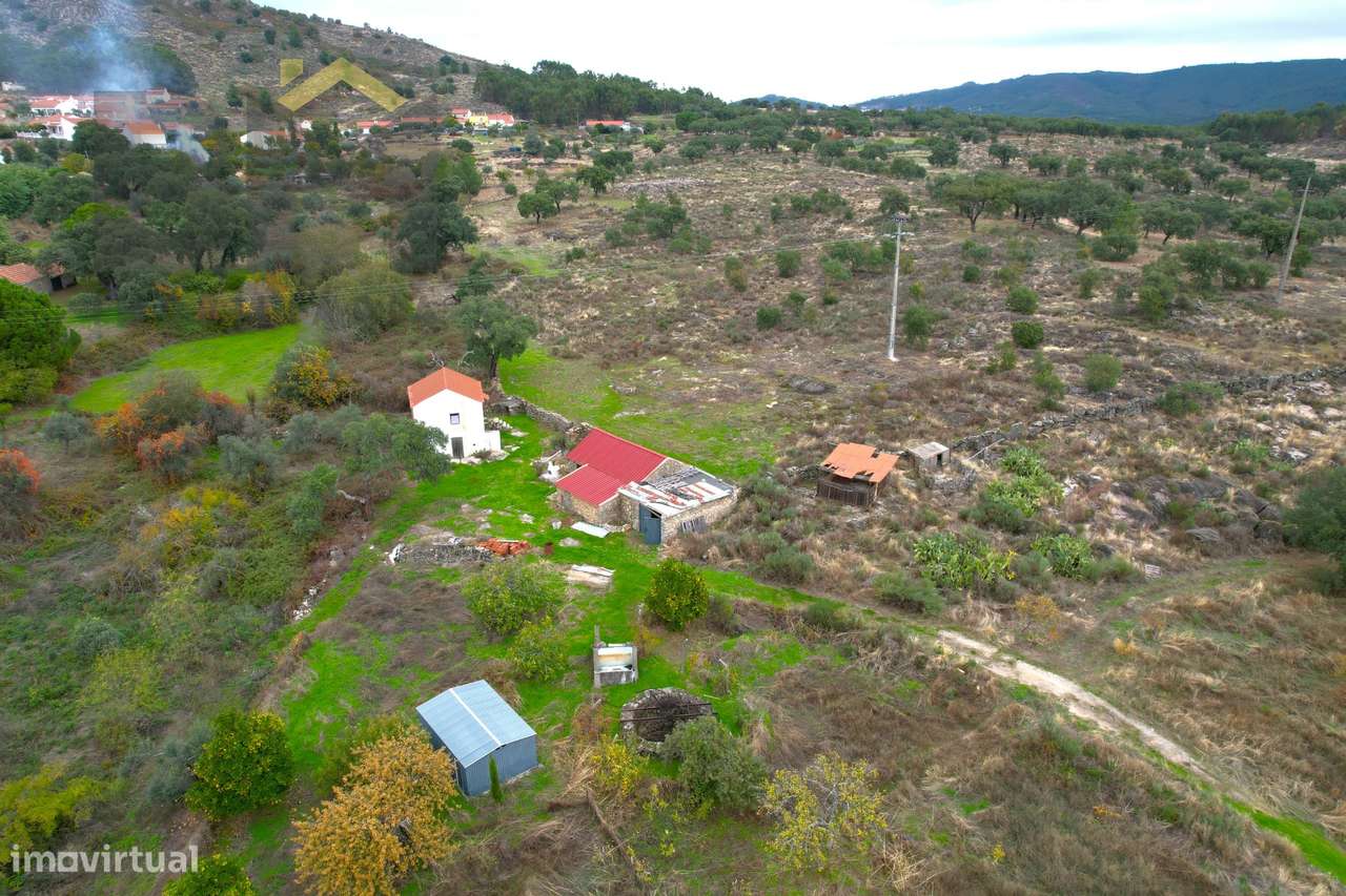Quinta  Venda em Monsanto e Idanha-a-Velha,Idanha-a-Nova - Grande imagem: 4/37