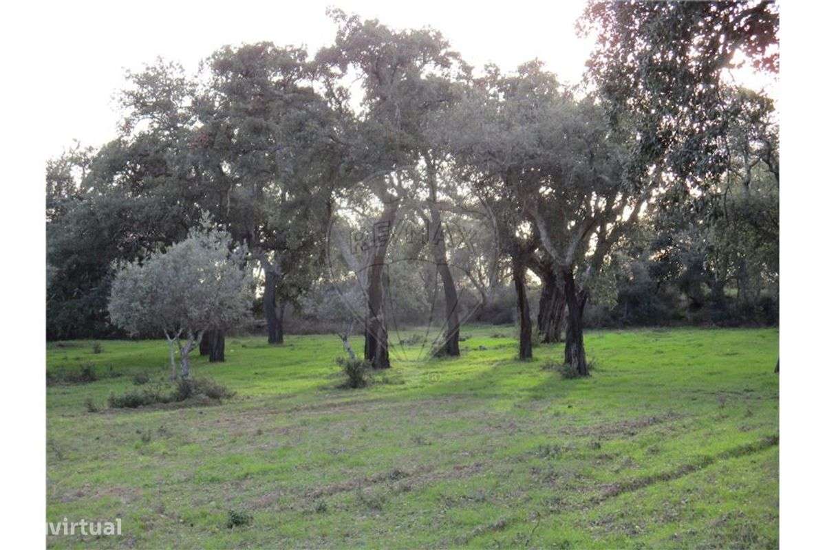 Quinta T0 para venda - Grande imagem: 2/25