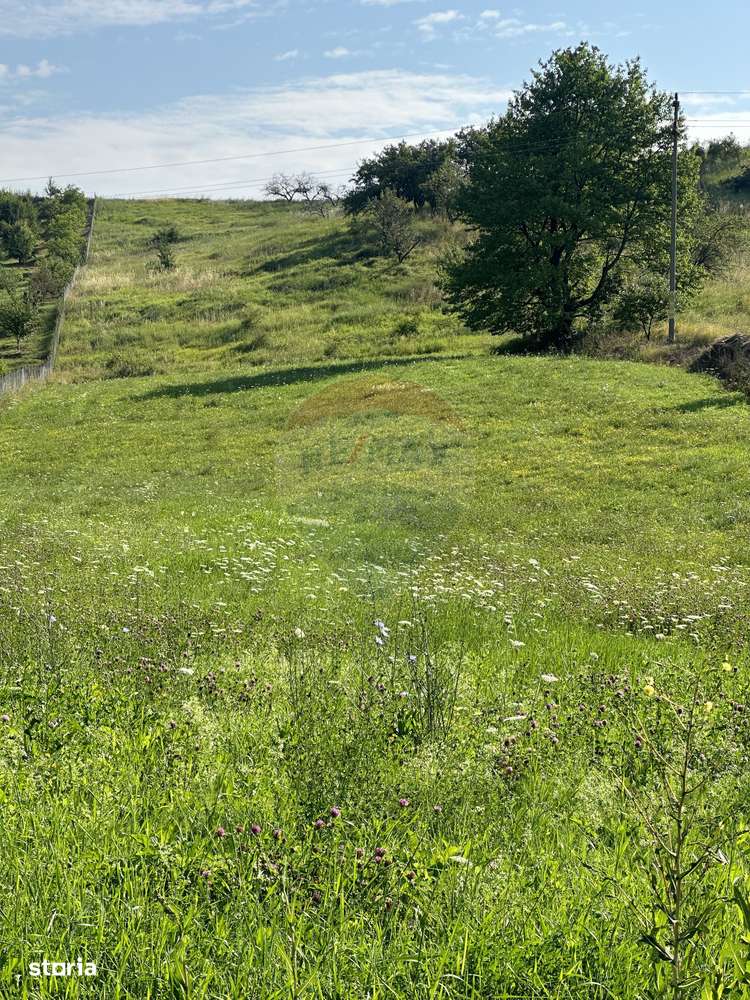 Teren 8,300mp Negresti (Dobreni) / Drumul DEALUL OTEL - Imagine principală: 5/5