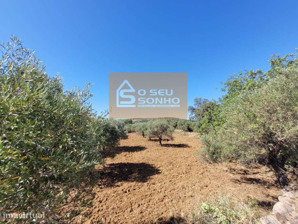 Terreno Rústico - 1.200 M² - Grande imagem: 2/10