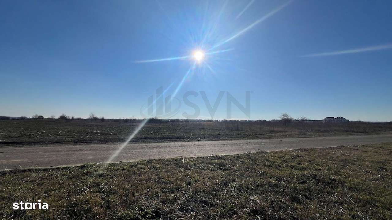 Corbeana - Ostratu 15200 mp langa padure - Imagine principală: 5/8