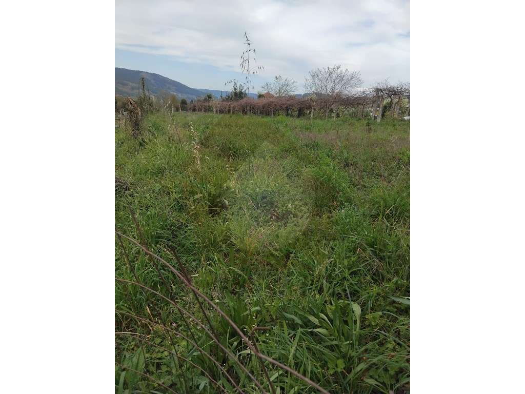 TERRENOS PARA CONSTRUÇÃO E CULTURA-6