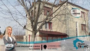 Casă spațioasă pe 2 nivele cu 6 camere,în Chișineu Criș(ID:29733)