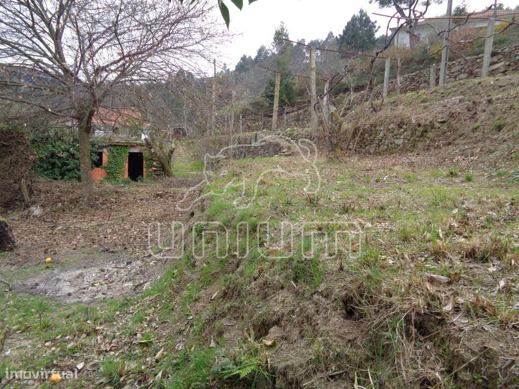TERRENO COM RUÍNA - Labruja, Ponte de Lima - Grande imagem: 2/7