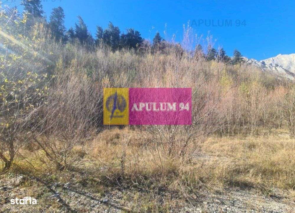 Teren intravilan de vânzare în Bușteni - Zona centrala - Imagine principală: 5/19