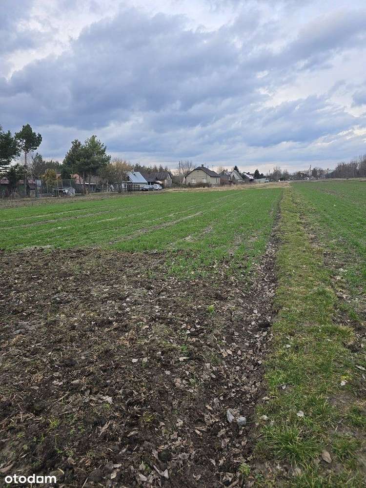 Na sprzedaż dom z dwiema działkami - Terespol-19