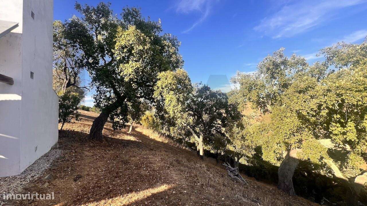 Propriedade única na Serra de Grândola - Terreno de 6,9 ha com vista p-50