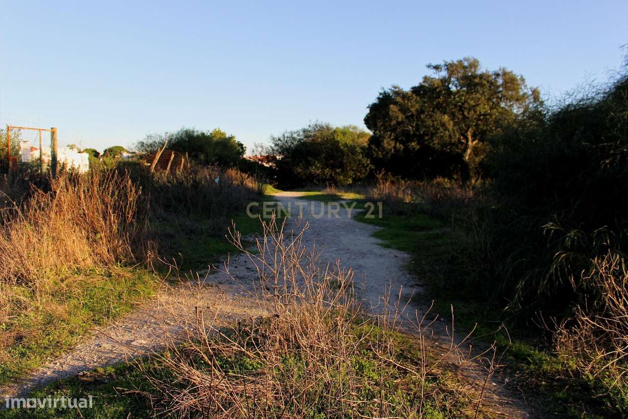 Dois lotes de terreno rústico – Vila Nova de Caparica - Grande imagem: 5/6