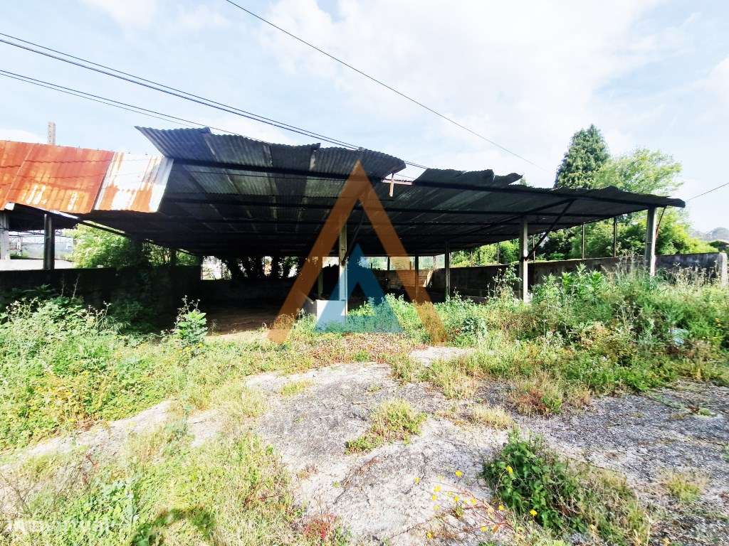 Maravilhosa quinta com casa e terreno-30
