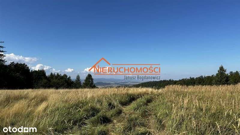 Działki w Rogówku z pięknym widokiem na pasma gór-9