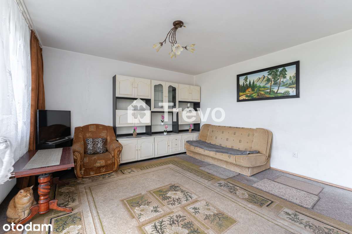 Obcokrajowiec| Morena |Niski budynek| Zach. strona - Pełny obrazek: 4/20