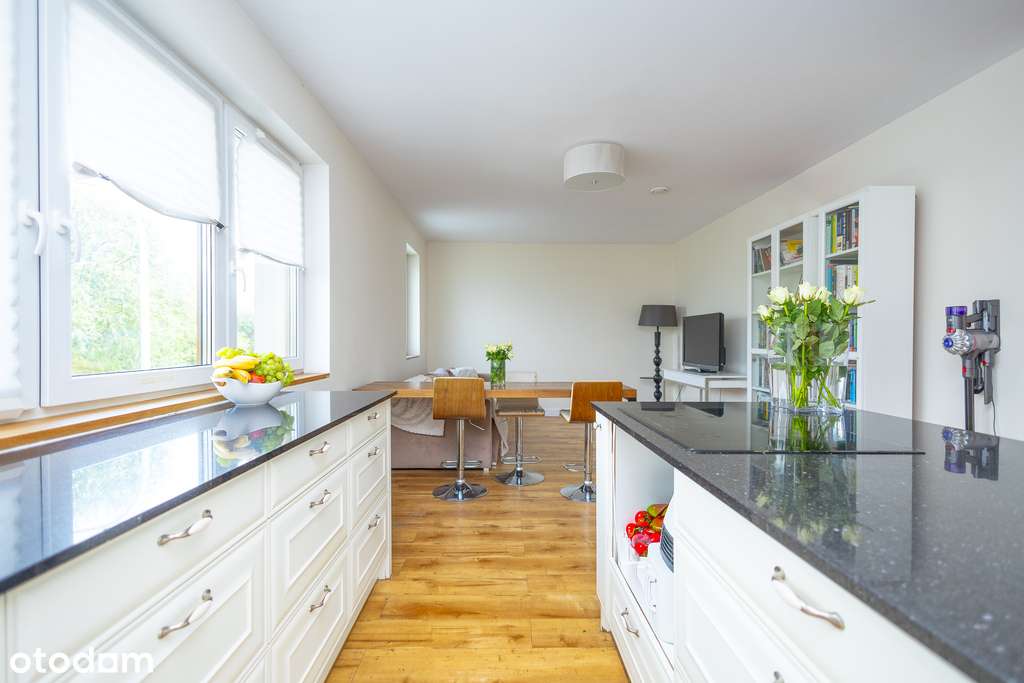 dom wolnostojący z prosperującą restauracją/Widawa - Pełny obrazek: 4/20