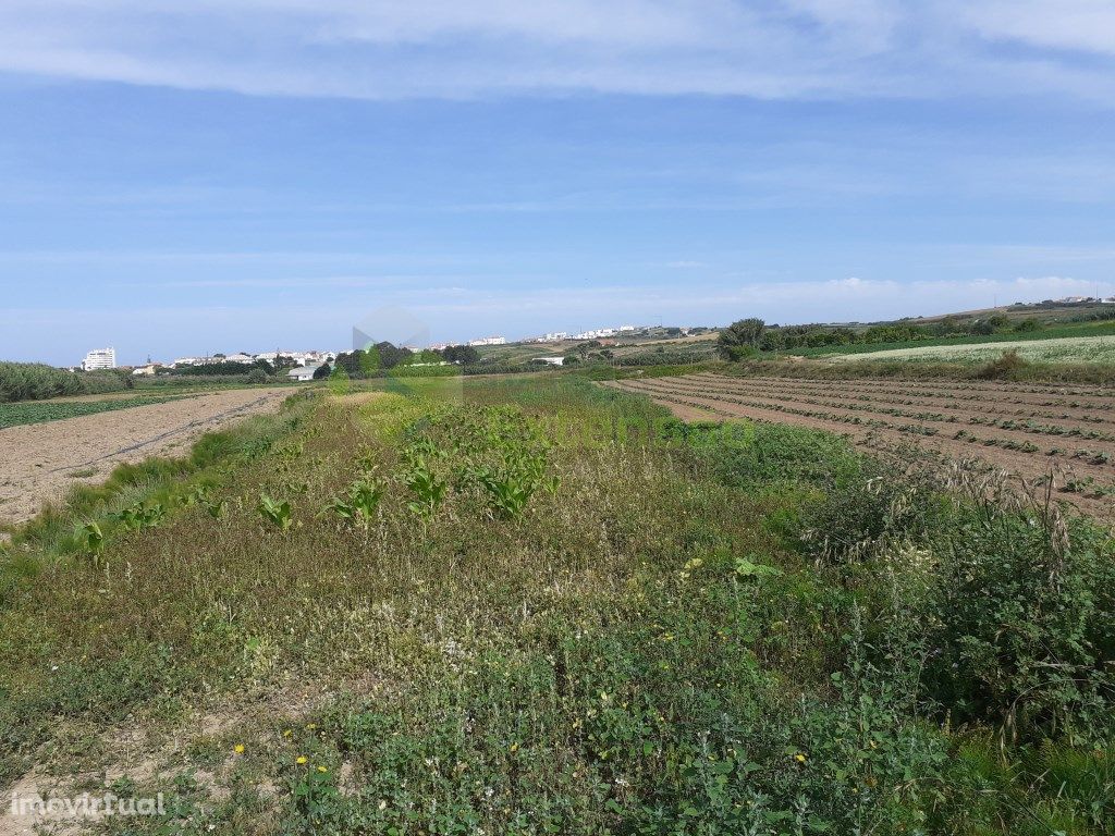 Terreno agrícola, com quase 6000 metros, perto da Lourinhã