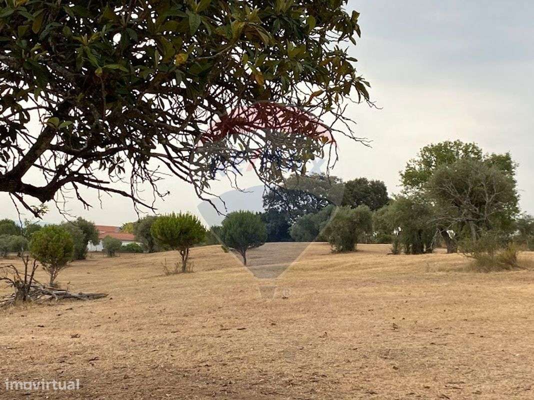 Terreno  para venda - Grande imagem: 3/26