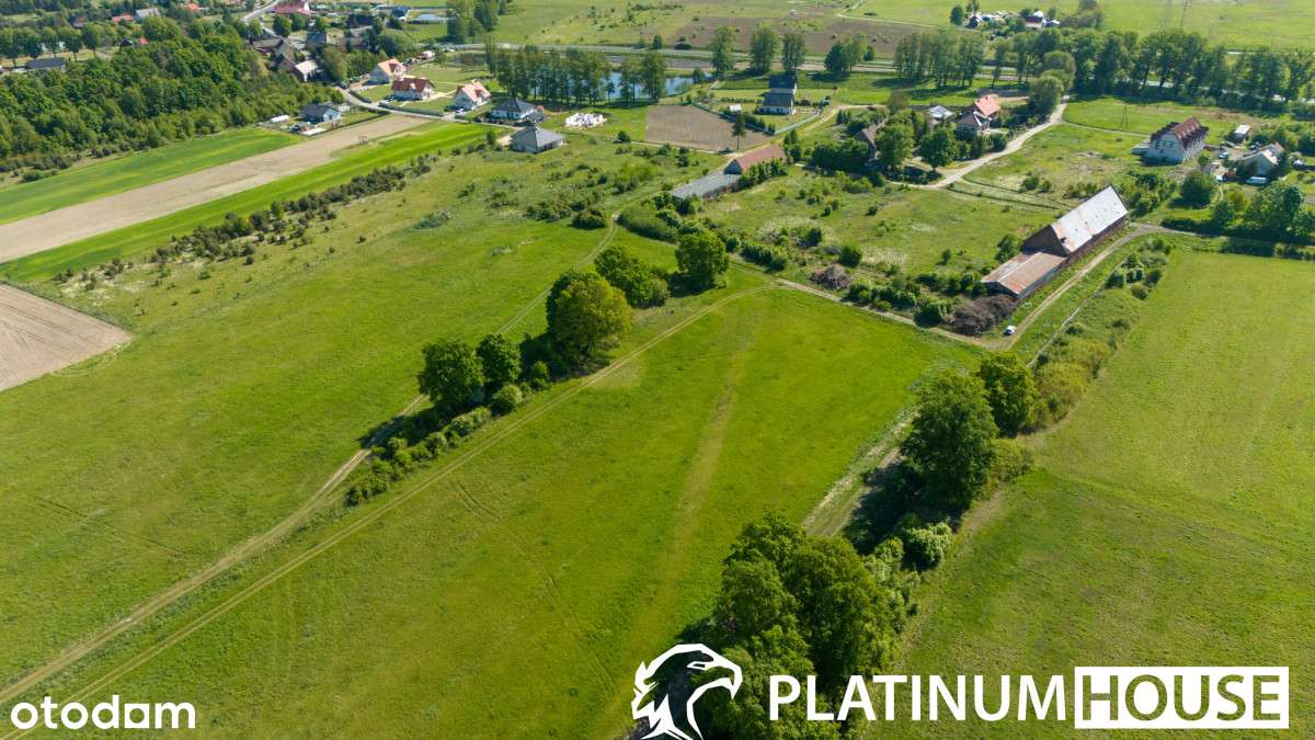 Działka z Mpzp | Leśniów Wielki | 15 min od ZG - Pełny obrazek: 5/8