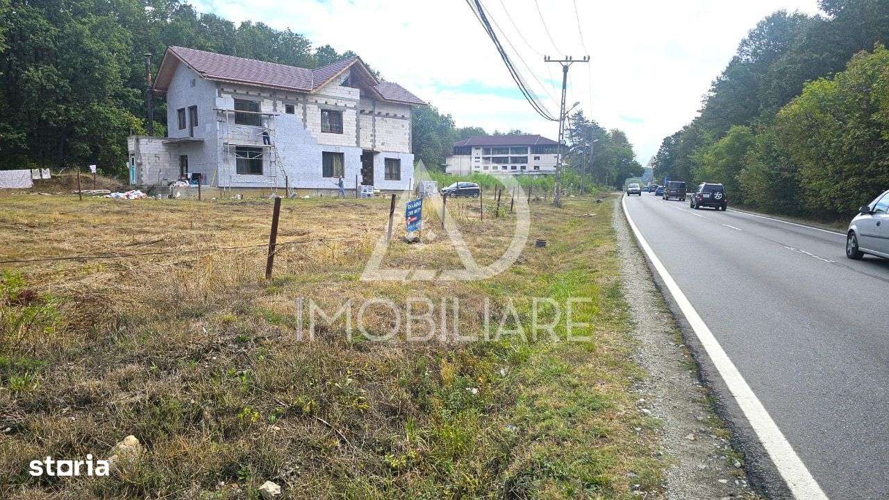 Teren intravilan Dragoeni, deschidere 89 m la DN67 - Imagine principală: 5/9