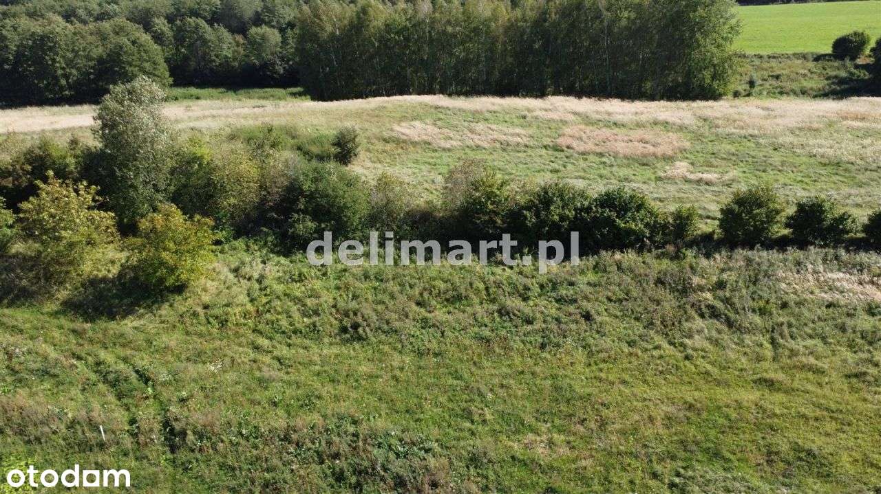 Działka inwestycyjna, Dąbrówka, Sanok-13