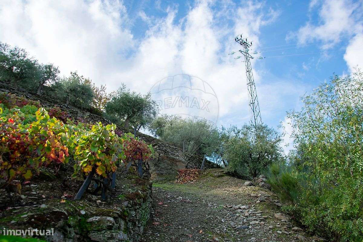 Terreno  para venda - Grande imagem: 4/23