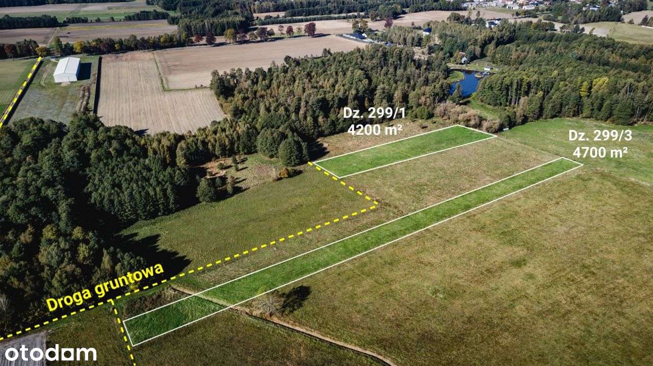 Działa rolna (łąka) 4200 m², Żebrak, gm. Skórzec-6