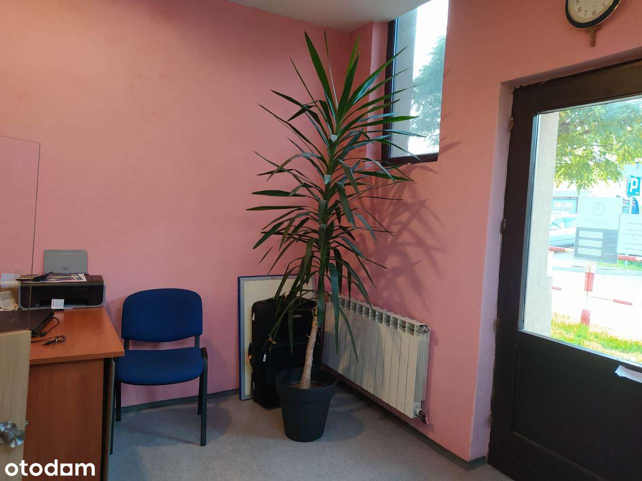 Lokal handlowy, usługowy, biurowy do wynajęcia. - Pełny obrazek: 5/6