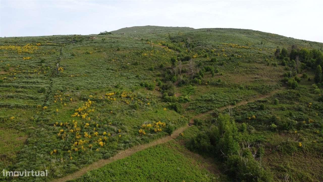 Quinta T0 Venda em Figueiró da Serra e Freixo da Serra,Gouveia-4