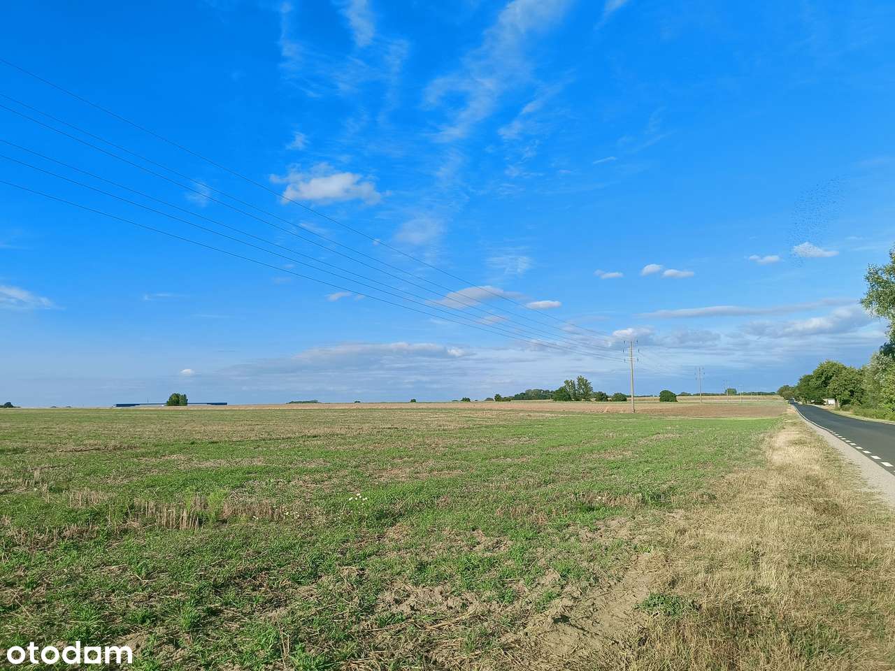 Lusówko - okolice planowanego zbiornika retencyjnego.-6