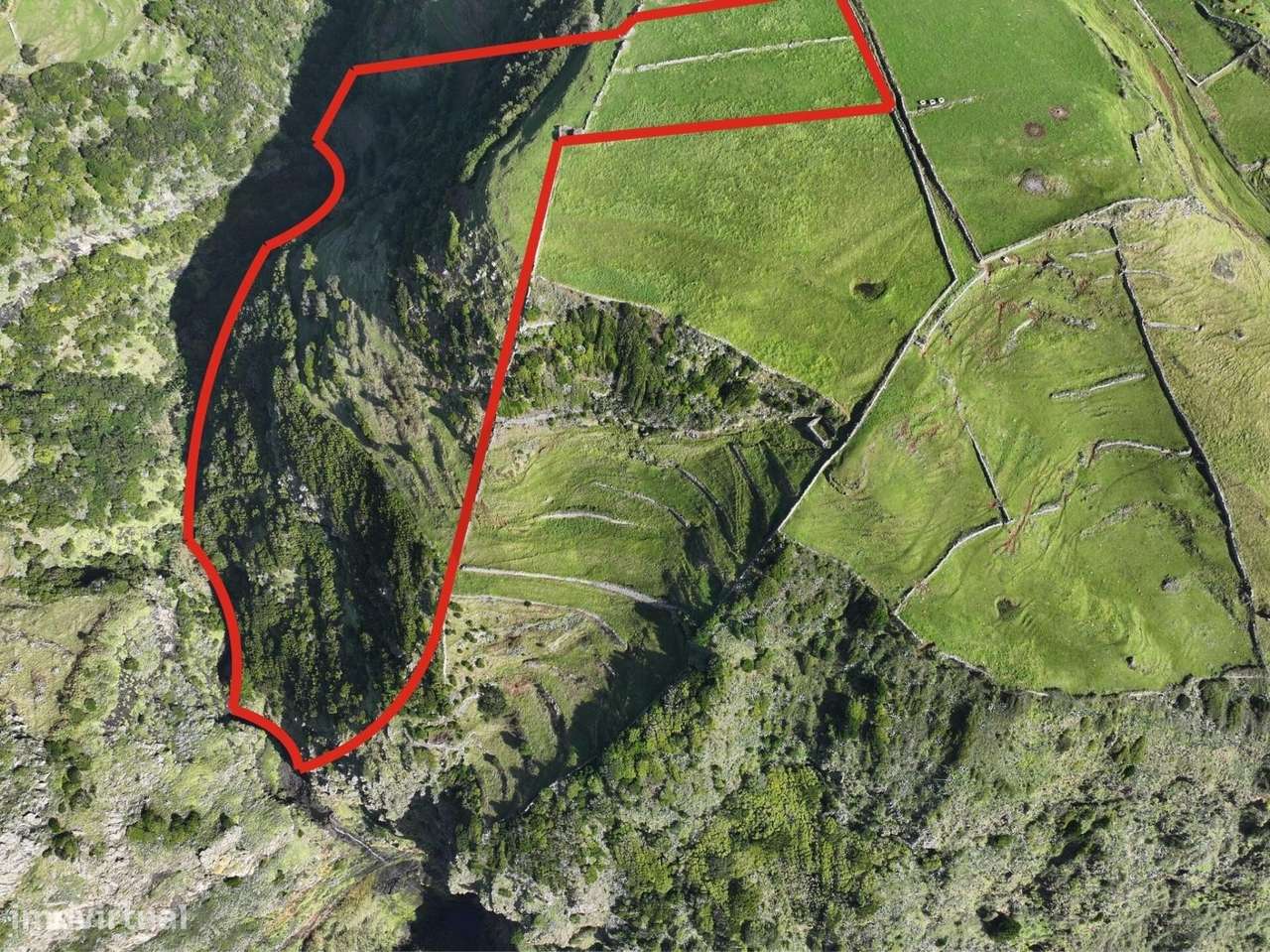 Terreno com 25.419 m2 – Malbusca, Santo Espírito - Grande imagem: 4/6