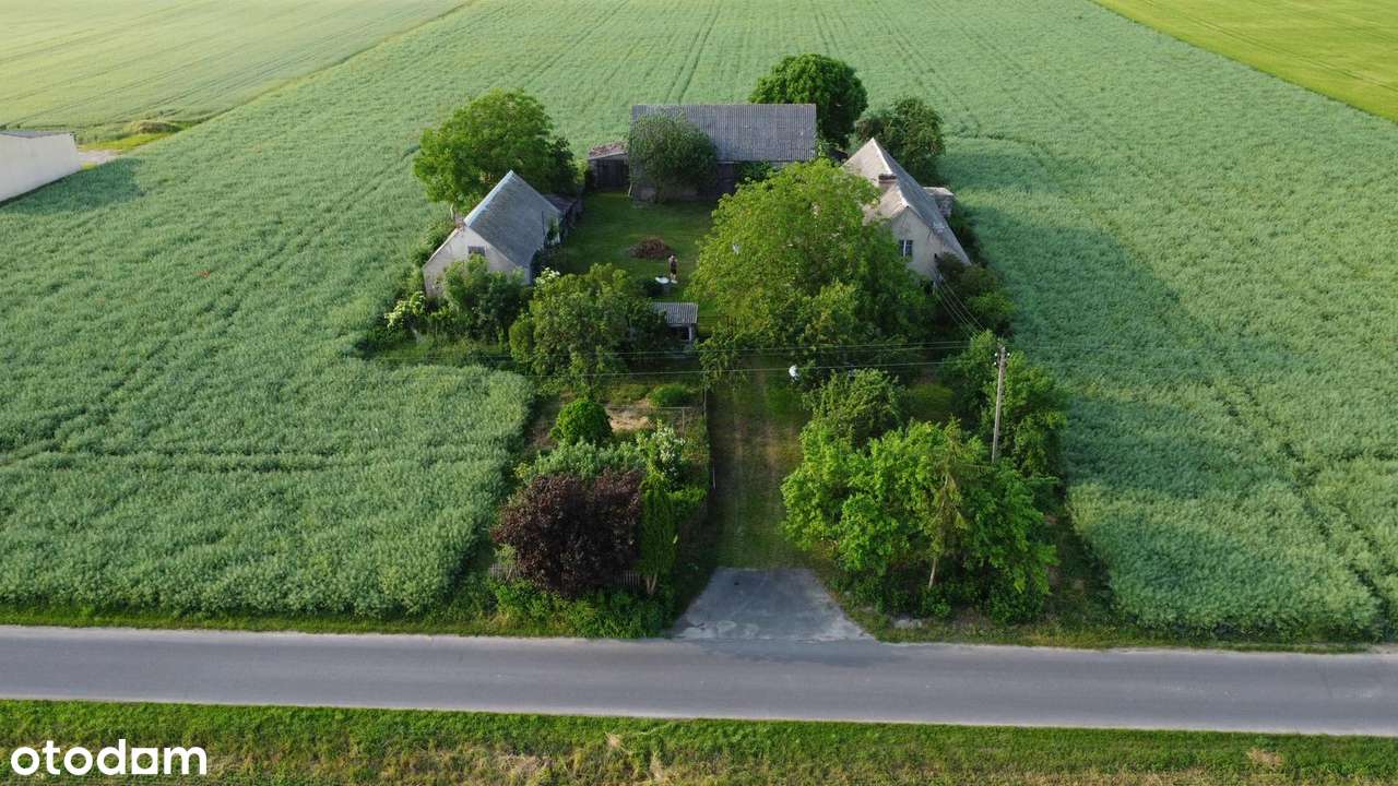 Siedlisko z potencjałem na sprzedaż Szydłowo gm. Trzemeszno