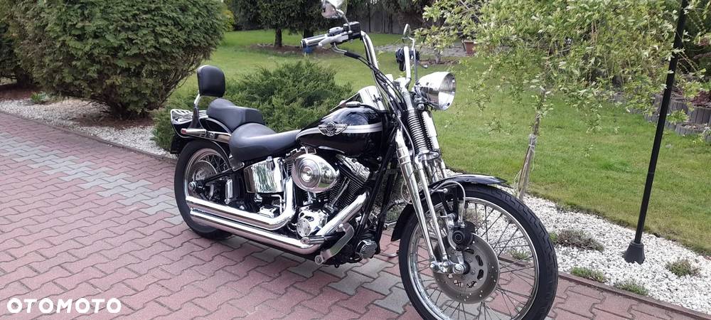 Harley-Davidson Softail Springer Classic - 1