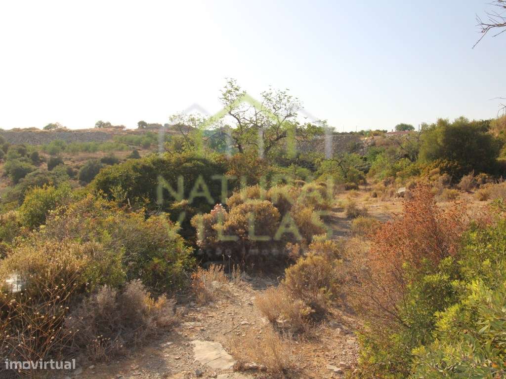 Terreno Plano com excelentes acessos, Estoi - Grande imagem: 3/5