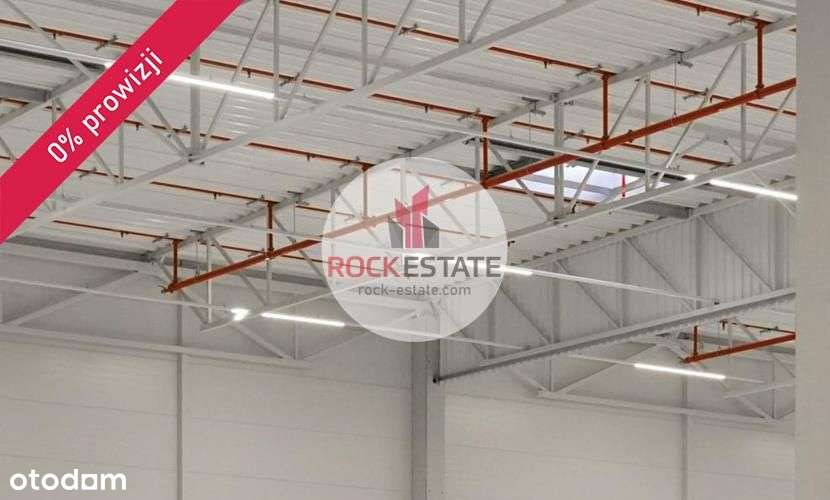 Magazyn 3500 m2 dostępny pod koniec 2025r. - Pełny obrazek: 5/9