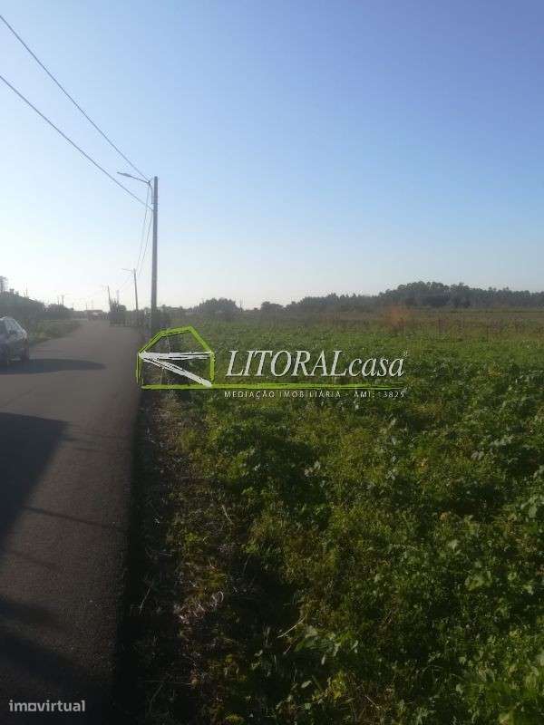 Terreno para duas Moradias - Grande imagem: 5/8