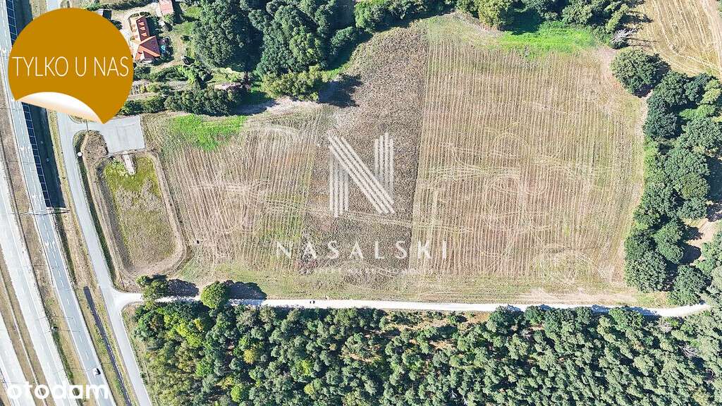 Działka inwestycyjna / 2451m2 / Niwy / Przy S5 - Pełny obrazek: 4/5
