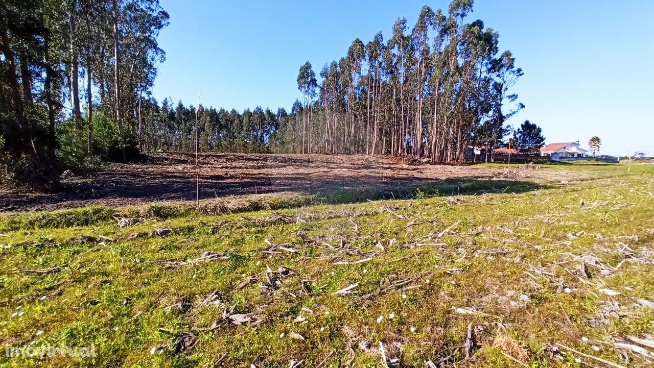 Terreno  para venda