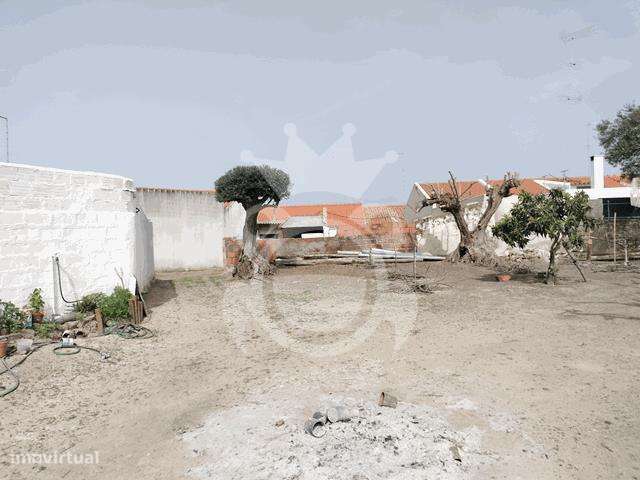 Moradia renovada com grande quintal - Perolivas-15