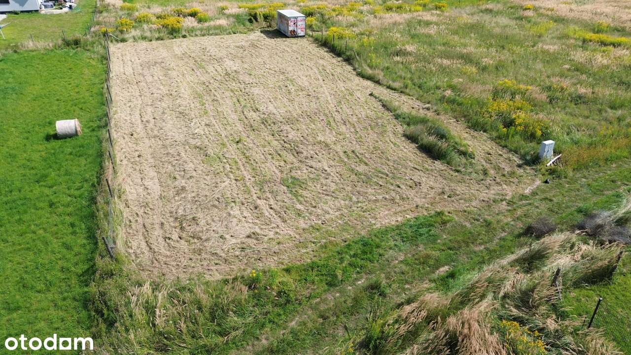 DZIAŁKA  Budowlana 11,04 AR – KASZOWO, GMINA MILICZ – LAS DOlina Baryc-11