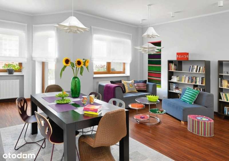 Na południe‼️ wyprzedaż_od Dewelopera_GoToWe-2