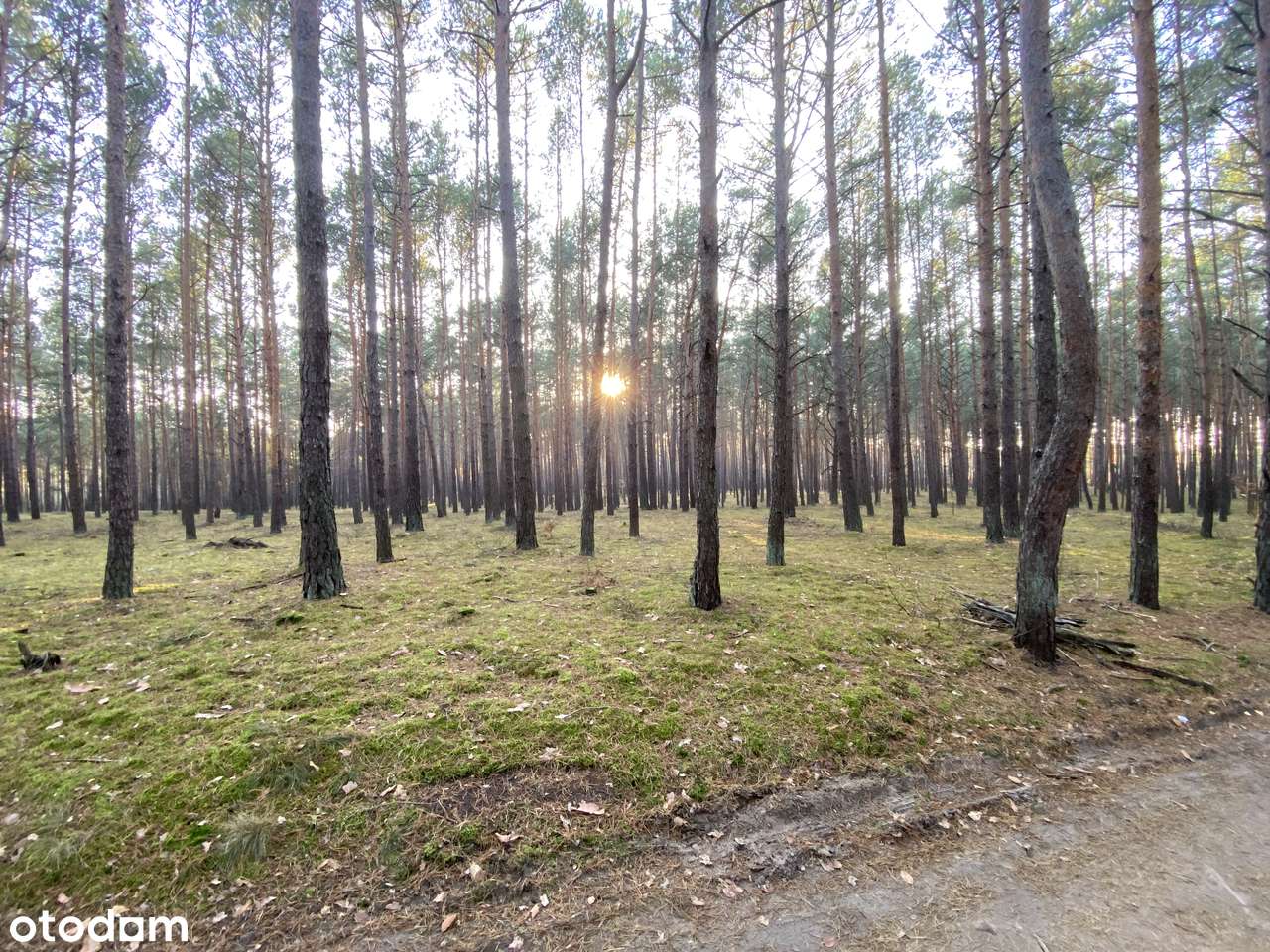 Domek 50m², działka 319 m² nad jeziorem, piękny las – Sławica - Pełny obrazek: 5/12