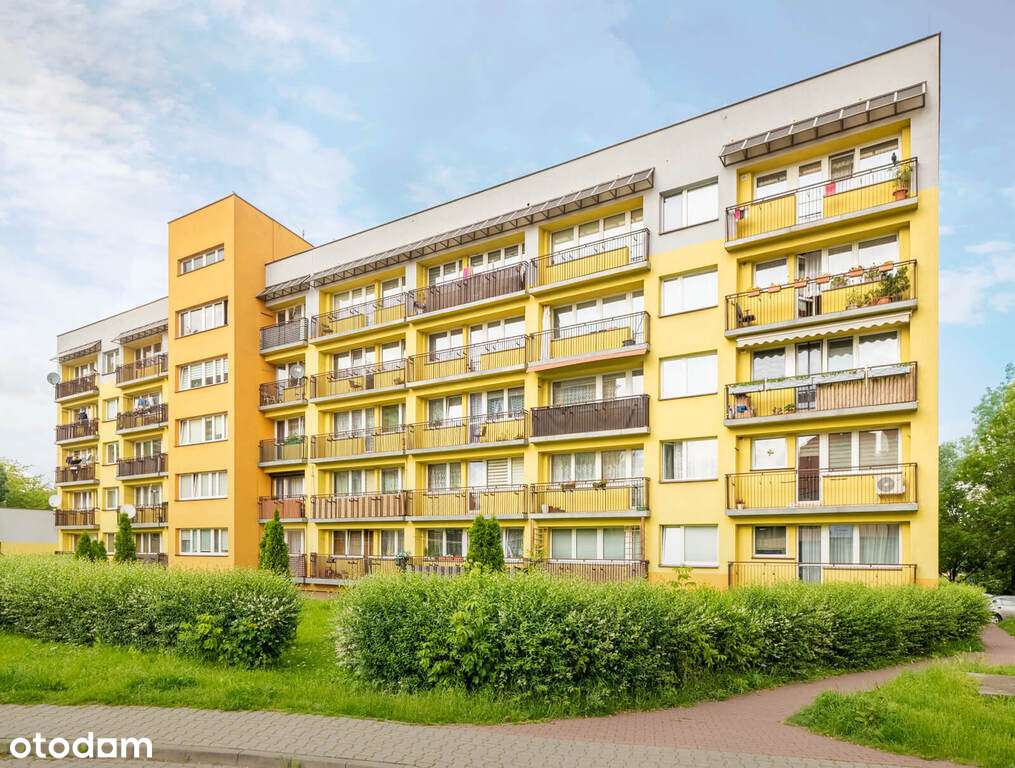 Rozkładowe do własnej aranżacji  Niski Blok - Pełny obrazek: 1/14